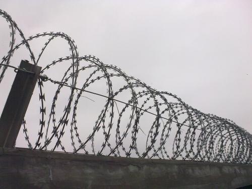 朝阳县围墙滚刺